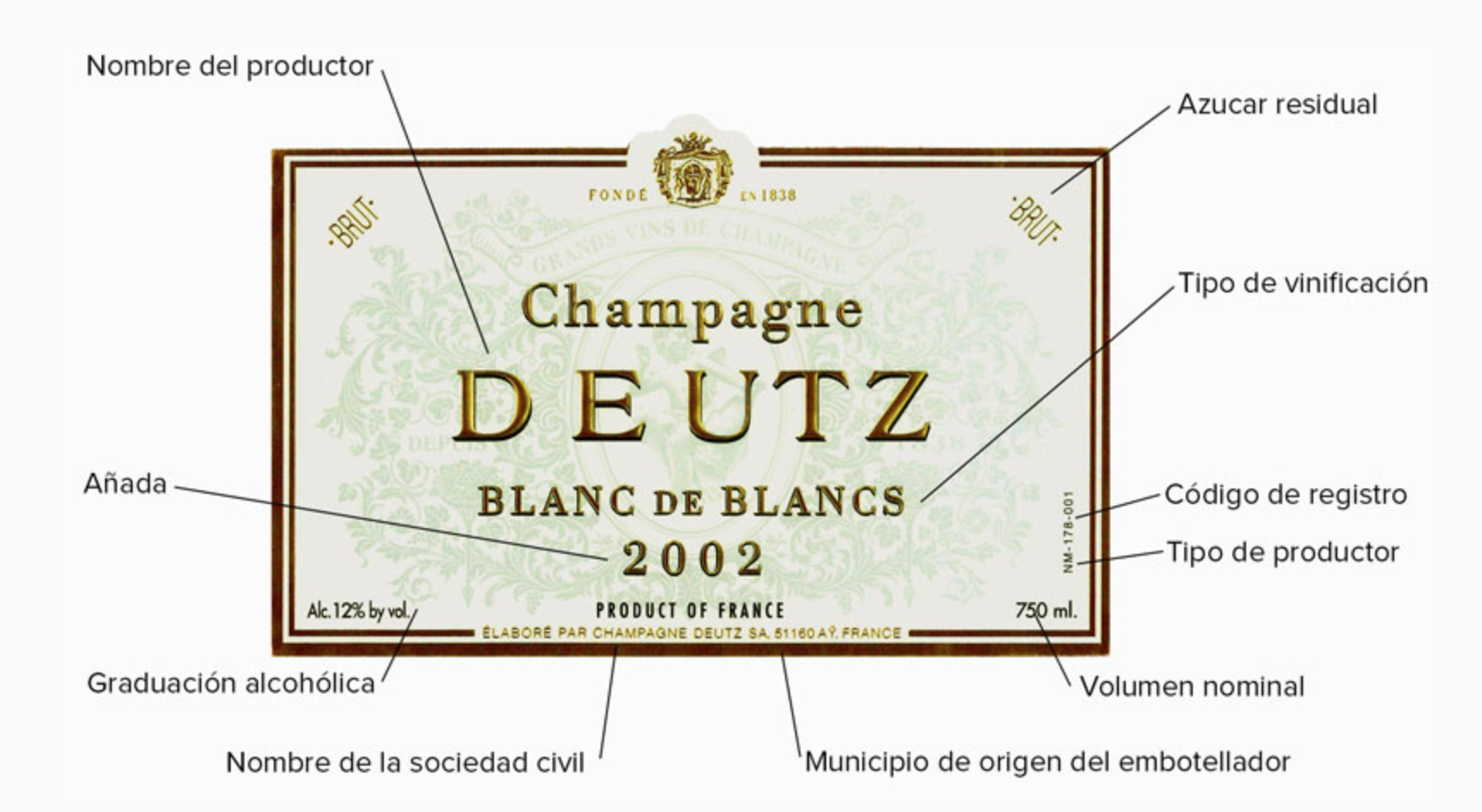 How to read a champagne label, step by step Gourmet Hunters Blog