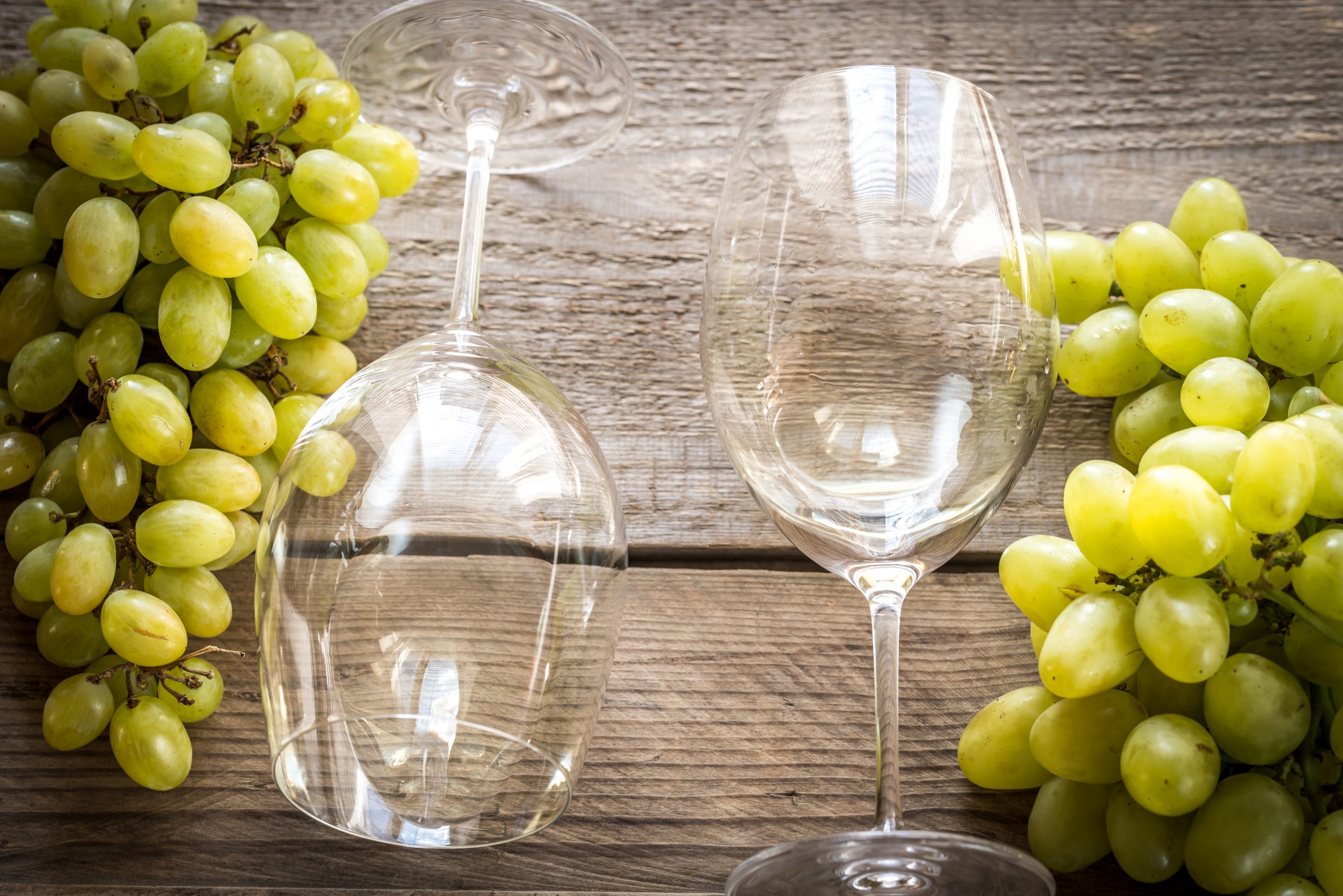 All about the Chardonnay grape Gourmet Hunters Blog