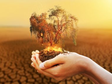 Cómo afectará el cambio climático a la elaboración de vinos en el futuro