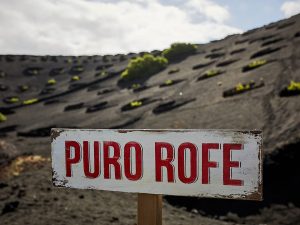 Vinos Volcánicos. Lanzarote & Rofe como bodega pionera