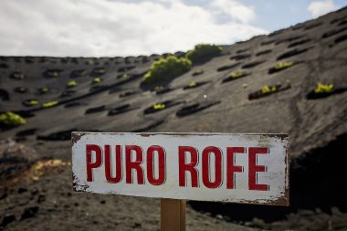 Vinos Volcánicos. Lanzarote & Rofe como bodega pionera