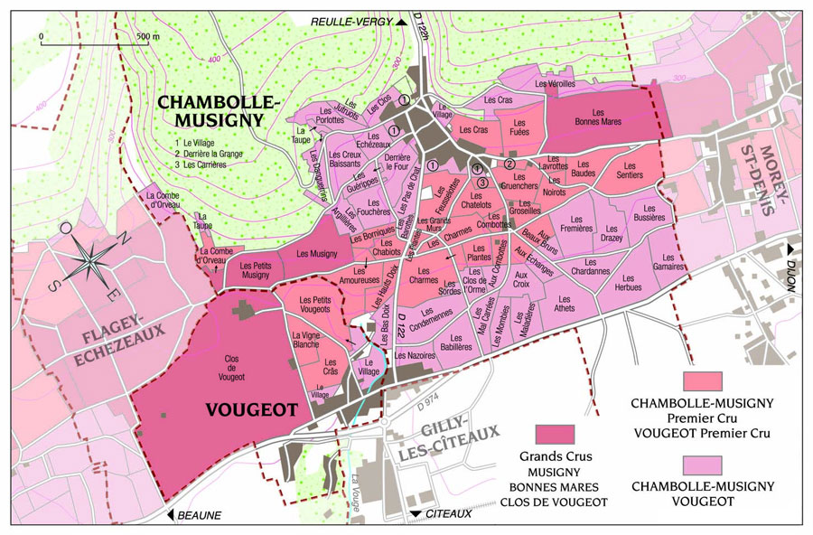 Chambolle Musigny