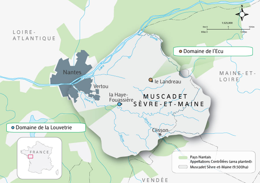 Muscadet Sèvre et Maine