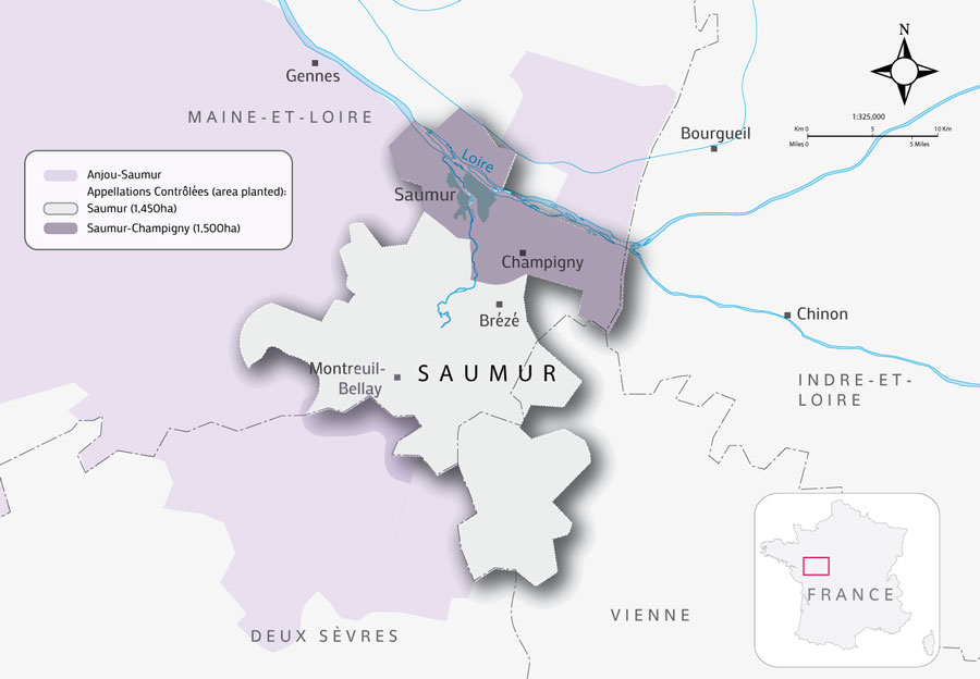 Saumur Champigny